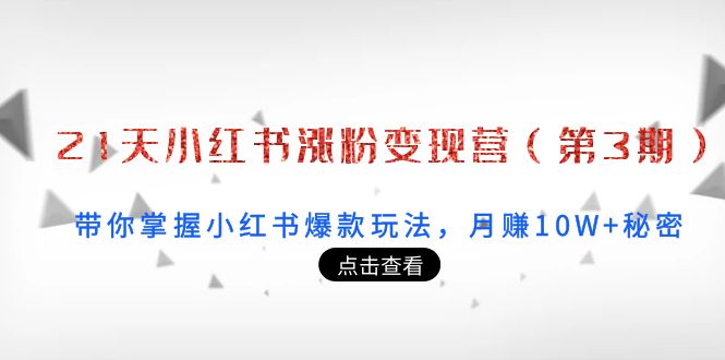 21天小红书涨粉变现营（第3期）：带你掌握小红书爆款玩法，月赚10W+秘密-小伟资源网