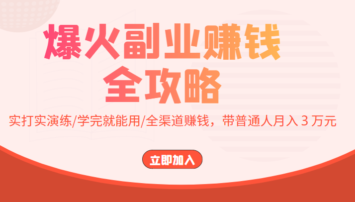 爆火副业赚钱全攻略：实打实演练/学完就能用/全渠道赚钱，带普通人月入３万元-小伟资源网