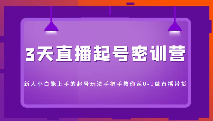 3天直播起号密训营，新人小白能上手的起号玩法，手把手教你从0-1做直播带货-小伟资源网