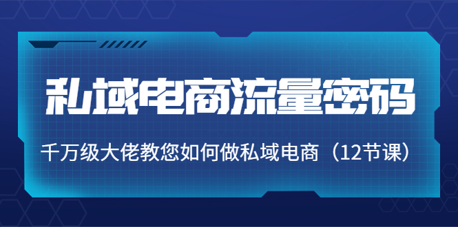 私域电商流量密码：千万级大佬教您如何做私域电商（12节课）-小伟资源网