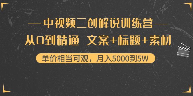 中视频二创解说训练营：从0到精通 文案+标题+素材、月入5000到5W-小伟资源网