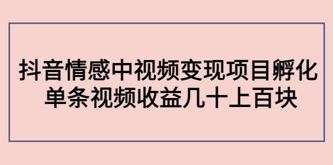 副业孵化营第5期：抖音情感中视频变现项目孵化 单条视频收益几十上百-小伟资源网