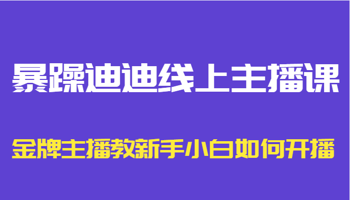 暴躁迪迪线上主播课，金牌主播教新手小白如何开播-小伟资源网