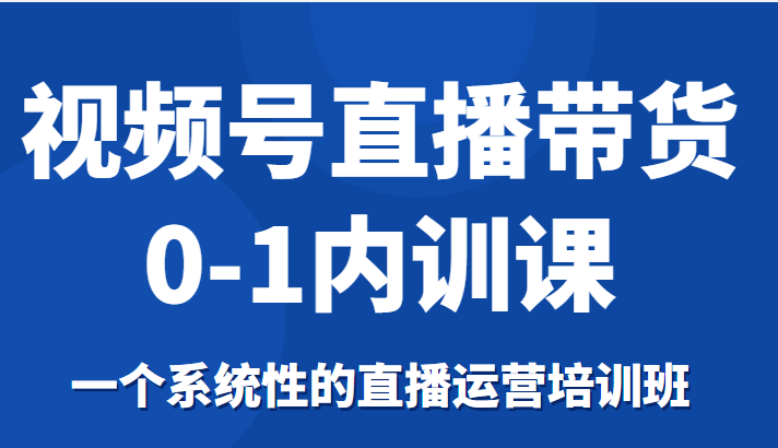 视频号直播带货0-1内训课，一个系统性的直播运营培训班-小伟资源网