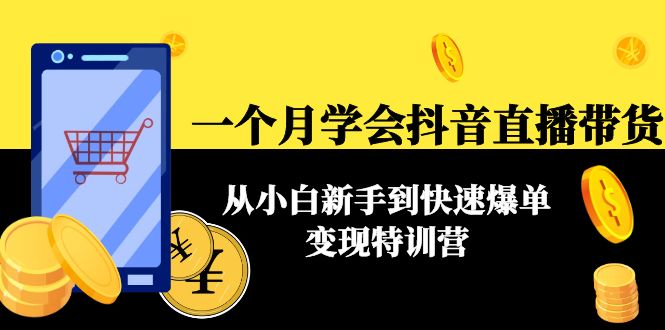 一个月学会抖音直播带货：从小白新手到快速爆单变现特训营(63节课)-小伟资源网