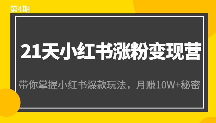 21天小红书涨粉变现营（第4期）：带你掌握小红书爆款玩法，月赚10W+秘密-小伟资源网