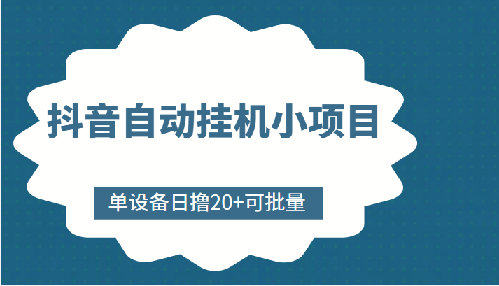 抖音自动挂机小项目，单设备日撸20+，可批量，号越多收益越大-小伟资源网