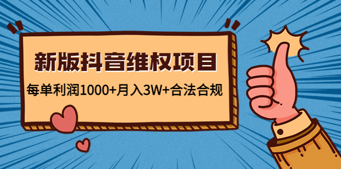 新版抖音维全项目：每单利润1000+月入3W+合法合规-小伟资源网