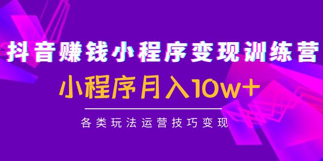 抖音赚钱小程序变现训练营：小程序月入10w+各类玩法运营技巧变现-小伟资源网