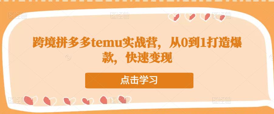 跨境拼多多temu实战营，从0到1打造爆款，快速变现-小伟资源网