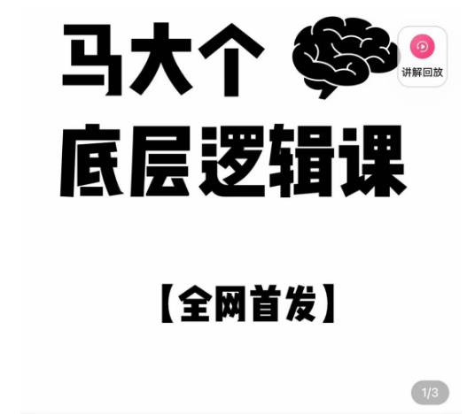 马大个·底层逻辑课，51节底层逻辑智慧课-价值1980元-小伟资源网