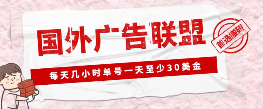 外面收费1980的最新国外LEAD广告联盟搬砖项目，单号一天至少30美金【详细玩法教程】-小伟资源网