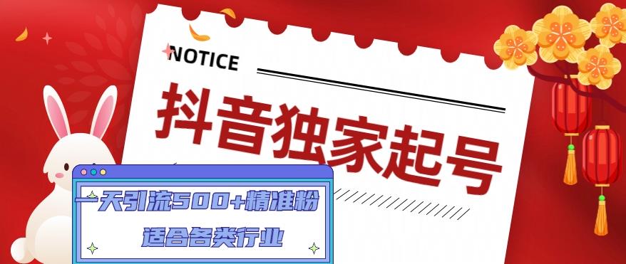 抖音独家起号，一天引流500+精准粉，适合各类行业（9节视频课）-小伟资源网