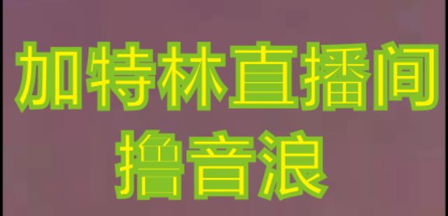 抖音加特林直播间搭建技术，抖音0粉开播，暴力撸音浪，2023新口子，每天800+【素材+详细教程】-小伟资源网