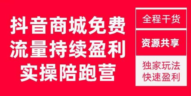 抖音商城搜索持续盈利陪跑成长营，抖音商城搜索从0-1、从1到10的全面解决方案-小伟资源网