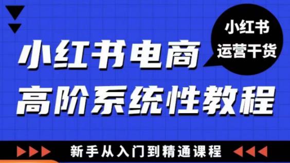 小红书电商高阶系统教程，新手从入门到精通系统课-小伟资源网