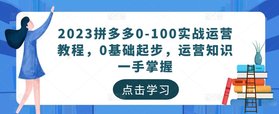 2023拼多多0-100实战运营教程，0基础起步，运营知识一手掌握-小伟资源网