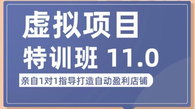 陆明明·虚拟项目特训班（10.0+11.0），0成本获取虚拟素材，0基础打造自动盈利店铺-小伟资源网