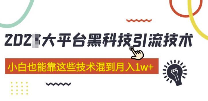 大平台黑科技引流技术，小白也能靠这些技术混到月入1w+(2022年的课程）-小伟资源网