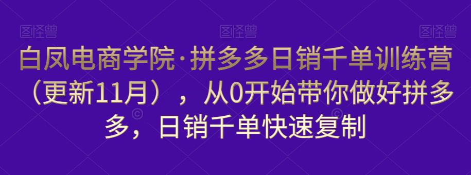 白凤电商学院·拼多多日销千单训练营，从0开始带你做好拼多多，日销千单快速复制（更新知2023年3月）-小伟资源网