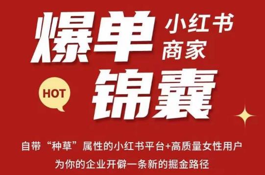 无畏·小红书商家爆单锦囊，掌握小红书各大规则，快速精准抢占行业和市场-小伟资源网