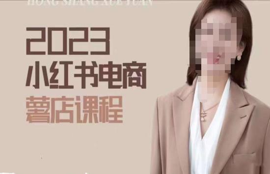 2023小红书电商课，新手小白从0~1玩转小红书薯店电商-小伟资源网