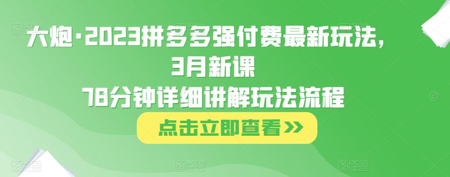 大炮·2023拼多多强付费最新玩法，3月新课​78分钟详细讲解玩法流程-小伟资源网