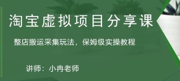 淘宝虚拟整店搬运采集玩法分享课：整店搬运采集玩法，保姆级实操教程-小伟资源网