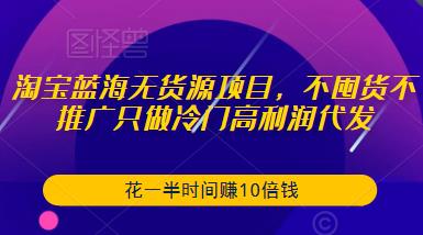 淘宝蓝海无货源项目，不囤货不推广只做冷门高利润代发，花一半时间赚10倍钱-小伟资源网