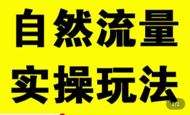 拼多多自然流量天花板，拼多多自然流的实操玩法，自然流量是怎么来的，如何开车带来自然流等知识-小伟资源网