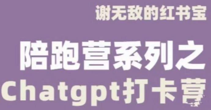 谢无敌ChatGPT打卡营，教你更好地使用ChatGPT来提高工作效率-小伟资源网