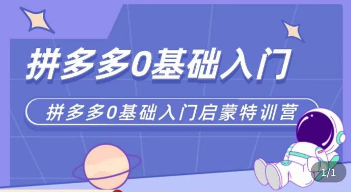 六一电商·拼多多运营0-1实操特训营，拼多多从基础到进阶的可实操玩法-小伟资源网