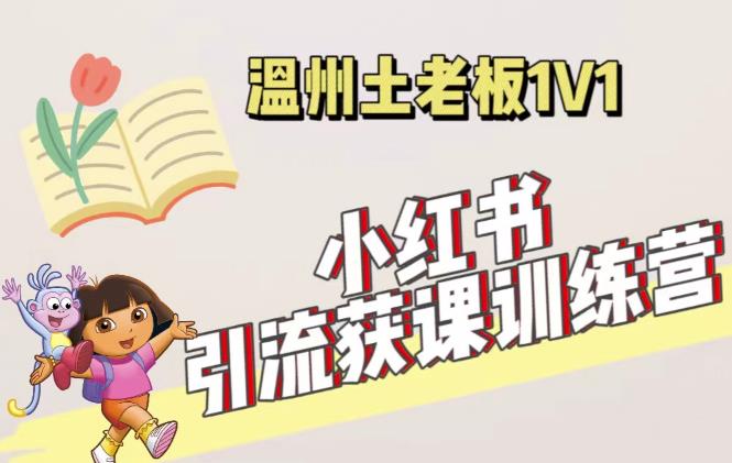 小红书1对1引流获客训练营：账号、内容、引流、成交（价值3999元）-小伟资源网