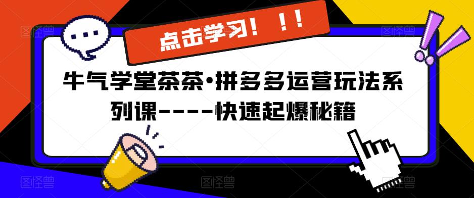 牛气学堂茶茶•拼多多运营玩法系列课—-快速起爆秘籍【更新】-小伟资源网