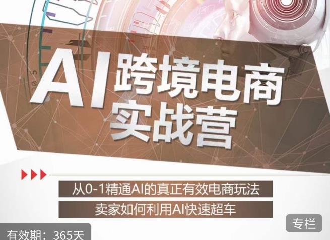 白龙老师·AI跨境电商实战营：从0-1精通Al的真正有效电商玩法，卖家如何利用Al快速超车-小伟资源网