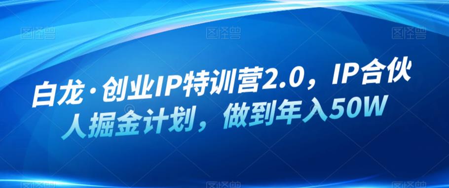 白龙·创业IP特训营2.0，IP合伙人掘金计划，做到年入50W-小伟资源网