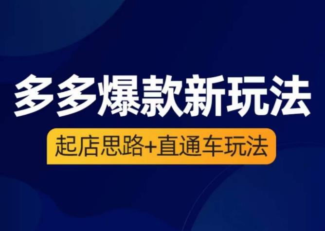 海神·多多爆款新玩法，​起店思路+直通车玩法（3节精华课）-小伟资源网