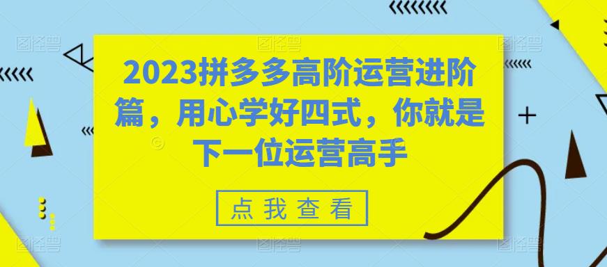 2023拼多多高阶运营进阶篇，用心学好四式，你就是下一位运营高手-小伟资源网