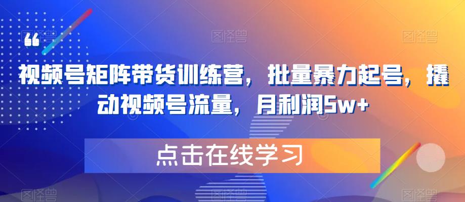 视频号矩阵带货训练营，批量暴力起号，撬动视频号流量，月利润5w+-小伟资源网