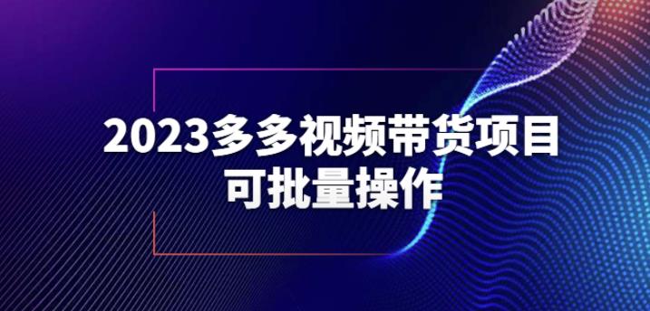 2023多多视频带货项目，可批量操作【保姆级教学】【揭秘】-小伟资源网