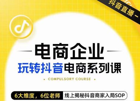 玺承·电商企业玩转抖音电商系列课，6大维度，6位老师，线上揭秘抖音商家入局SOP-小伟资源网