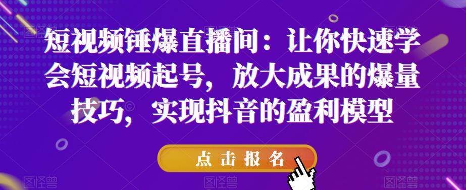 短视频锤爆直播间：让你快速学会短视频起号，放大成果的爆量技巧，实现抖音的盈利模型-小伟资源网