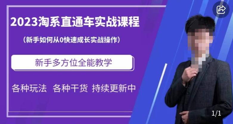 2023淘系直通车保姆式运营讲解，新手如何从0快速成长实战操作，新手多方位全能教学-小伟资源网