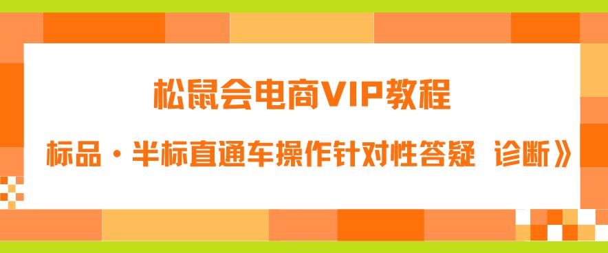 松鼠会电商VIP教程：松鼠《付费推广标品·半标直通车操作针对性答疑&诊断》-小伟资源网