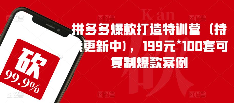 拼多多爆款打造特训营（持续更新中)，199元*100套可复制爆款案例-小伟资源网