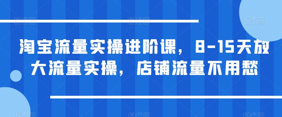 淘宝流量实操进阶课，8-15天放大流量实操，店铺流量不用愁-小伟资源网