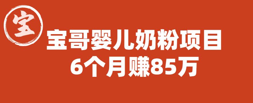 宝哥婴儿奶粉项目，6个月赚85w【图文非视频】【揭秘】-小伟资源网