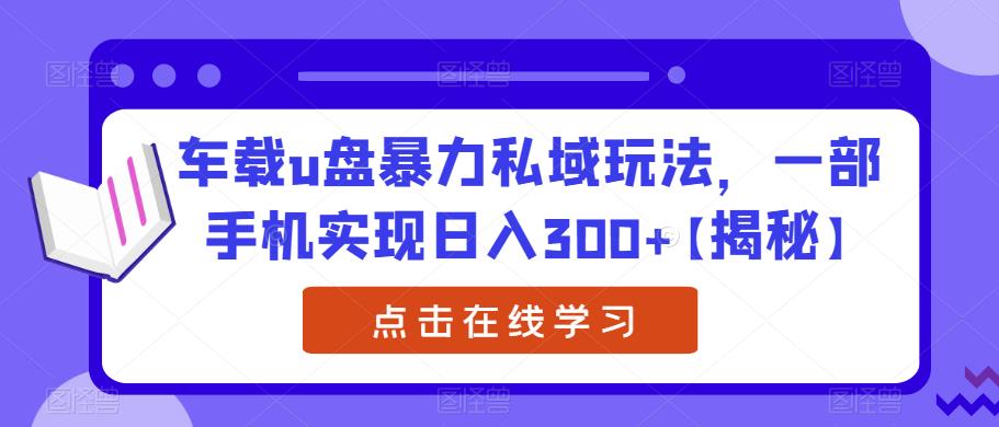 车载u盘暴力私域玩法，一部手机实现日入300+【揭秘】-小伟资源网