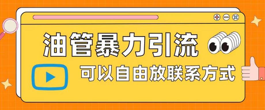 油管暴力引流，可以自由放联系方式【揭秘】-小伟资源网