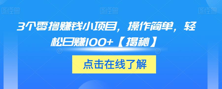 3个零撸赚钱小项目，操作简单，轻松日赚100+【揭秘】-小伟资源网